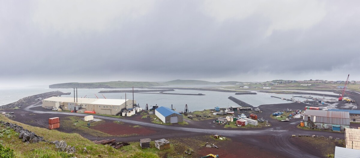 美西港口超1800人感染！深圳累计发现7名跨境货车司机确诊新冠